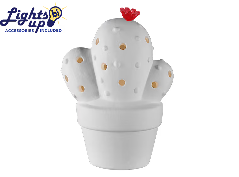Garambullo Cactus Night Light
