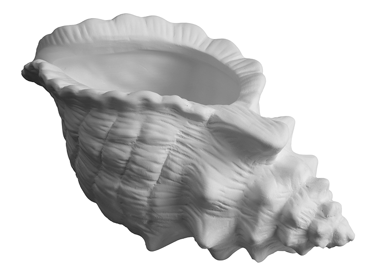 Conch Shell Planter