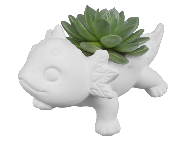 Lindsey the Lotl Container