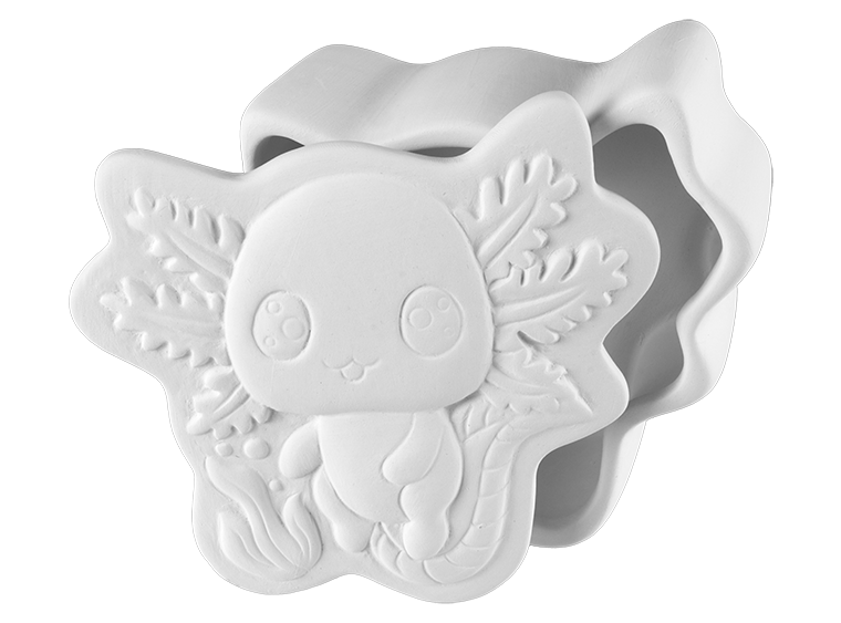 Archie the Axolotl box