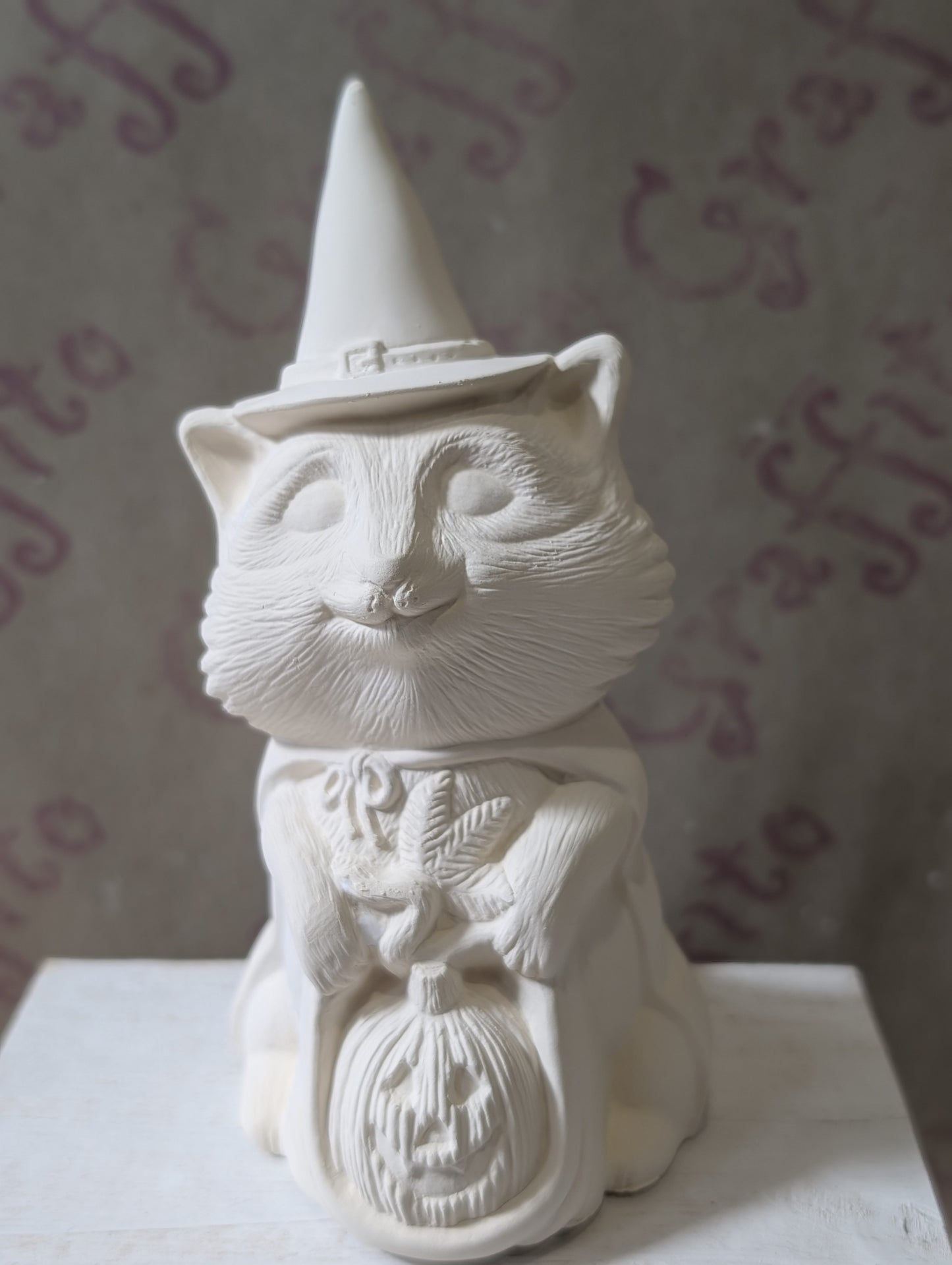 Raccoon Witch