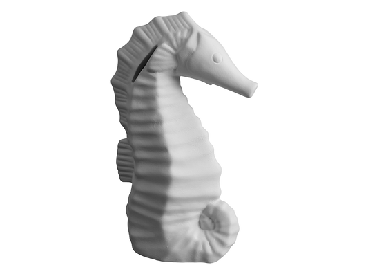 Seahorse Bank