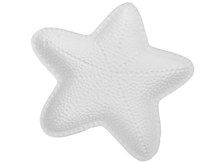 Little Starfish Dish