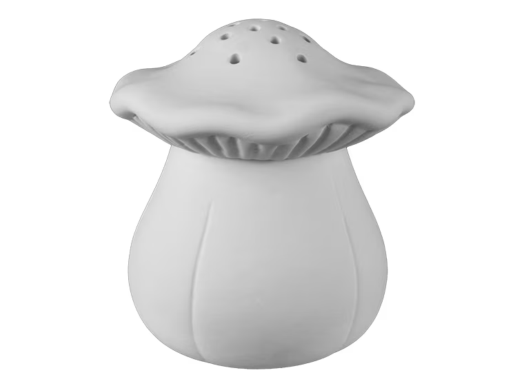 Fungi Fruit fly trap