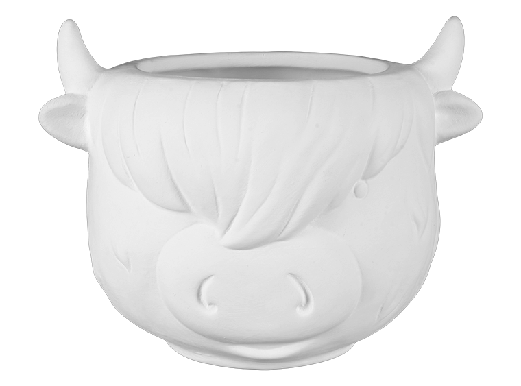 Highland Cow Container