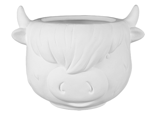 Highland Cow Container
