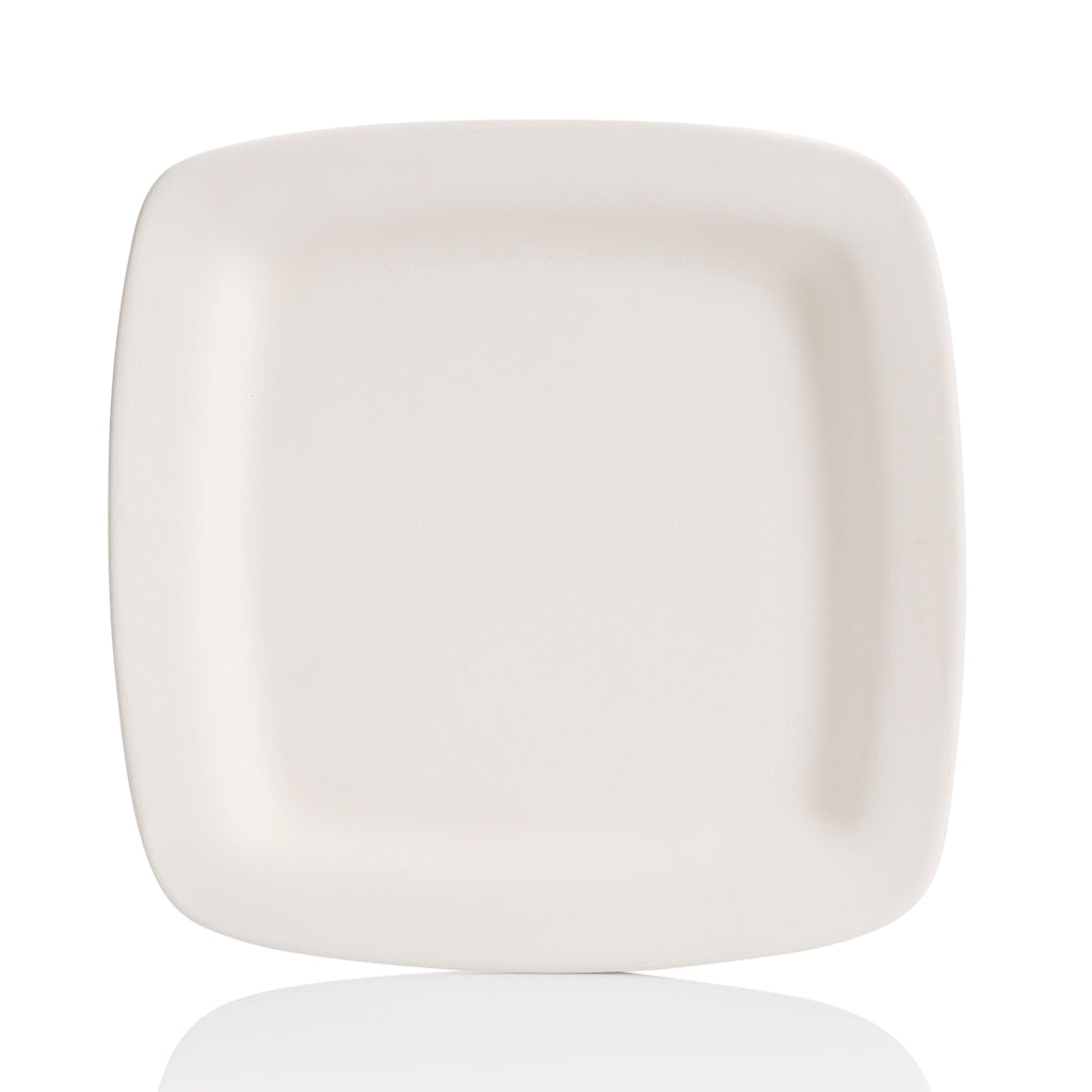Square Rim Dinner Plate