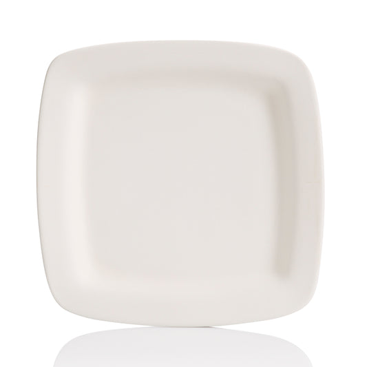 Square Rim Dinner Plate