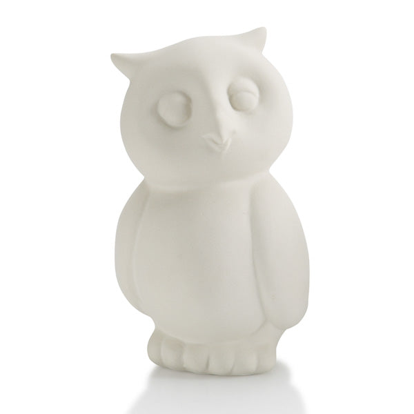 Owl Party Animal