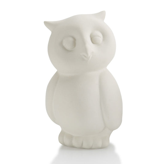 Owl Party Animal