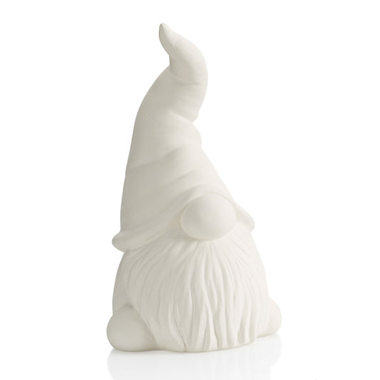Gnome Party Animal