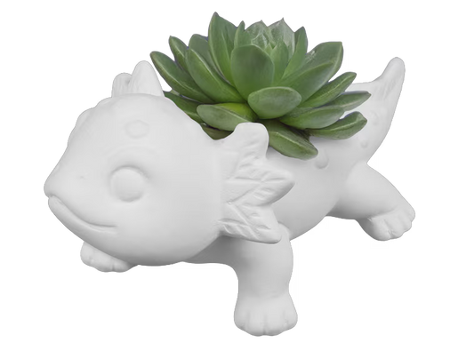 Lindsey the Lotl Container