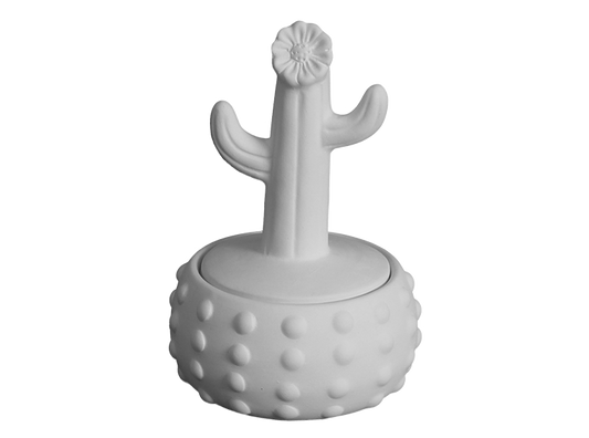 Floral Cactus box