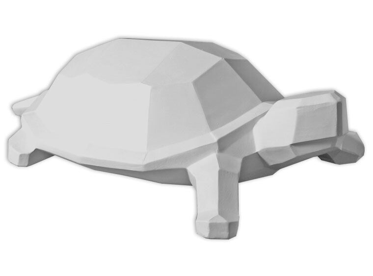 Faceted Turtle