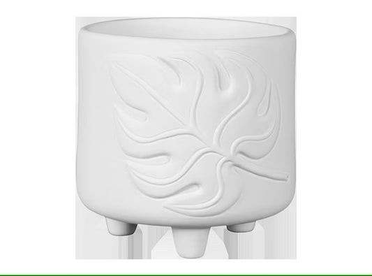 Monstera footed container