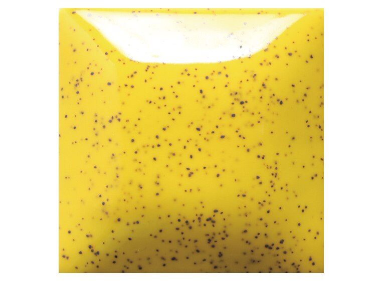 Stroke & Coat Speckled Sunkissed