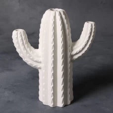 Saguaro Cactus